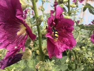 Мини-отель Пески Бердянск-2